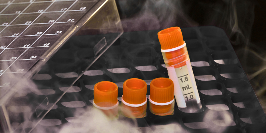 Intex Pharma Reviews: What Positive and Negative Feedback Can Reveal About a Provider